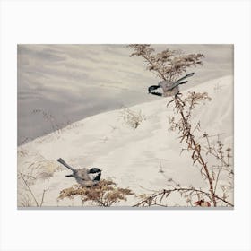 Two Birds Perched On A Branch 3 Canvas Print