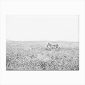 Into The Wild Bw Canvas Print