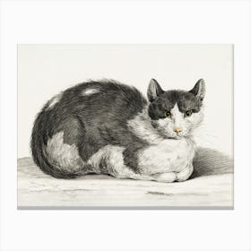 Reclining Cat 1, Jean Bernard Canvas Print