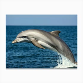 Dolphin Leaping 1 Canvas Print