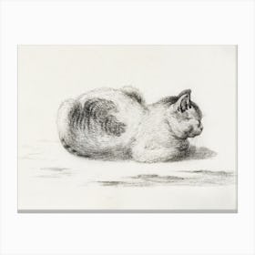 Reclining Cat, Jean Bernard Canvas Print