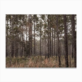 Wilderness Landscape Canvas Print