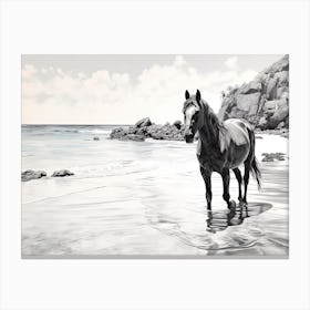 A Horse Oil Painting In Anse Lazio, Seychelles, Landscape 3 Canvas Print