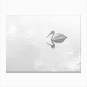 A Black And White Pelican In Mirror Water Canvas Print