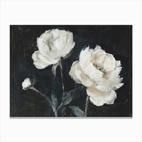 White Peonies 5 Canvas Print