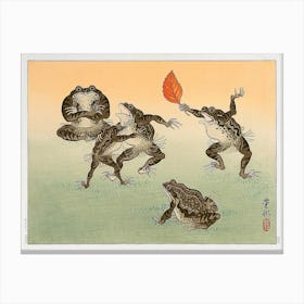 Frog Sumo (1930), Ohara Koson Canvas Print
