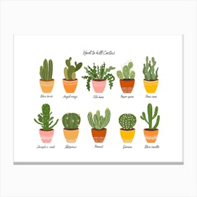 Colorful Potted Cactus Canvas Print