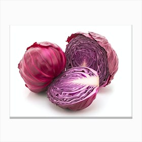 Red Cabbage (12) Canvas Print