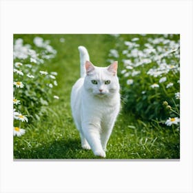 White Cat Amongst The Daisies Canvas Print