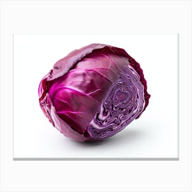 Red Cabbage (21) Canvas Print