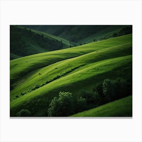 green nature 3 Canvas Print