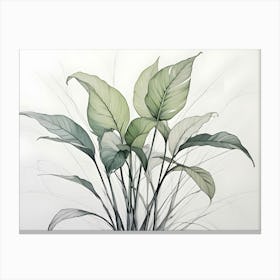 Watercolor Painting Of A Green Plant With Large Leaves Canvas Print