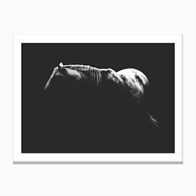 Shadow Horse Canvas Print