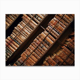 Books Bookshelf Classic Collection Canvas Print