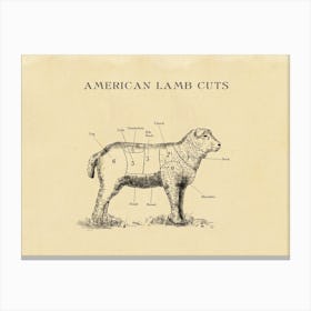 American Lamb Butcher Cuts Chart Canvas Print