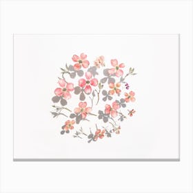 Dogwood Flowers Canvas Print