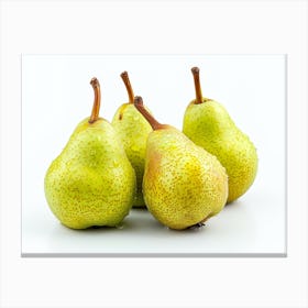 Pears On A White Background Canvas Print