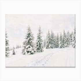 Snowy Winter Wonderland Canvas Print