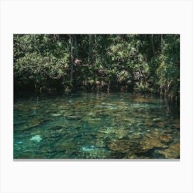 Cenote Jungla Canvas Print