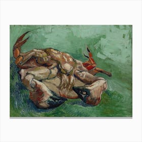 Crab On Its Back, Van Gogh Canvas Print