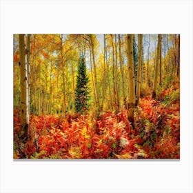 Crested Butte's Autumn Wonderland Canvas Print