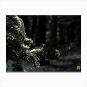 Snowy Forest 20201004 172ppub Canvas Print