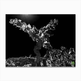 Moonlight In The Vineyard 20230831280rt1pub Canvas Print