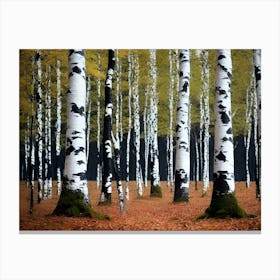 Birch Trees 52 Canvas Print