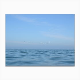 Gannets flying over a calm blue sea - summer ocean and coastal nature and travel photography by Christa Stroo Photography Canvas Print