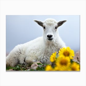 Fy! Baby Goat Canvas Print