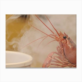 Steaming Lobster Canvas Print