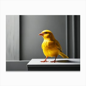 Yellow Bird Canvas Print