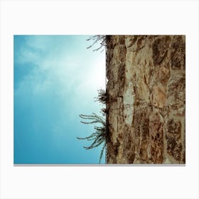 Low Angle View Of Part Of Ancient Stone Wall 1 Canvas Print