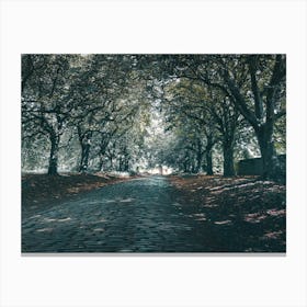 Cobbled Road Lined With Trees Lienzo