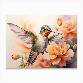 Hummingbird Paintings Art Print Canvas Print