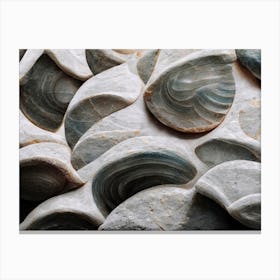 Sea Shell Detail No 5 Canvas Print