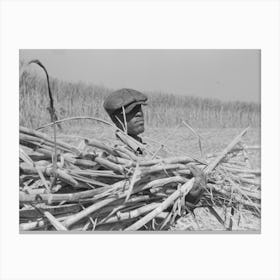 Loading Sugarcane Onto Wagon In Field, Near New Iberia, Louisiana By Russell Lee Canvas Print