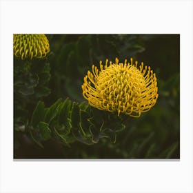 Yellow Botanicals Canvas Print