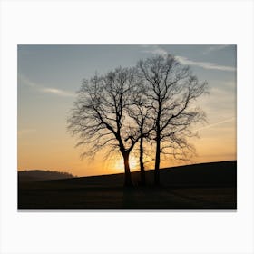 Silhouette of trees at sunset Canvas Print