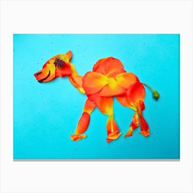 Camel Canvas Print