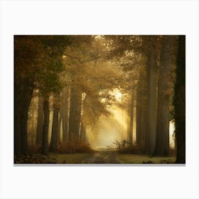 Forever Forest Canvas Print