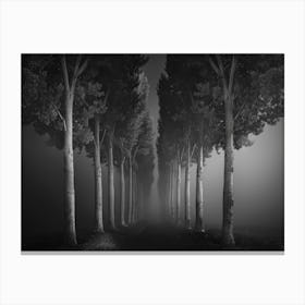 Foggy Path Canvas Print