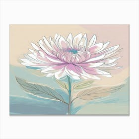 Chrysanthemum 17 Canvas Print