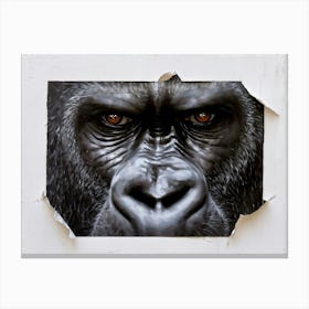 Oil Painting Depicting A Gorillas Face Partially Obscured By Ripped Paper On A White Canvas Black Canvas Print