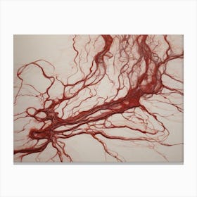 Blood Vessels Canvas Print