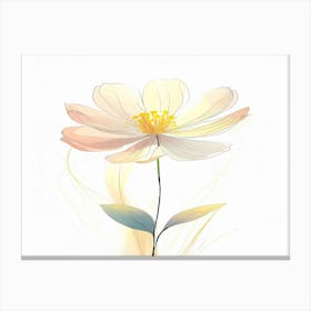 White Flower Canvas Print