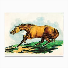 Illustration Of Light Brown Horse Canvas Print