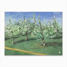 Apple Tree Garden Canvas Print