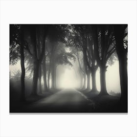 Road In The Fog Canvas Print