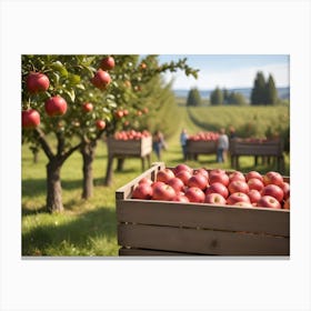 Crates Of Red Apples In An Orchard 7 Canvas Print